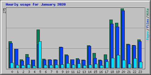 Hourly usage for January 2020